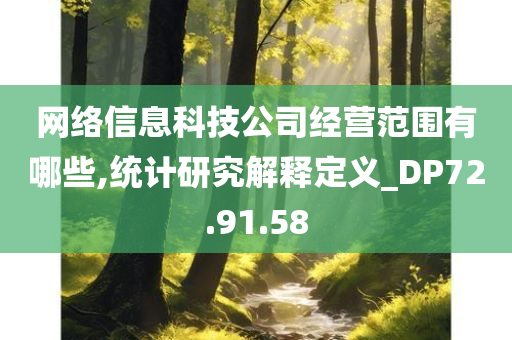 网络信息科技公司经营范围有哪些,统计研究解释定义_DP72.91.58