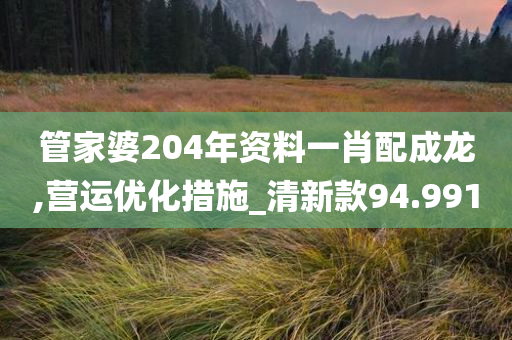 管家婆204年资料一肖配成龙,营运优化措施_清新款94.991