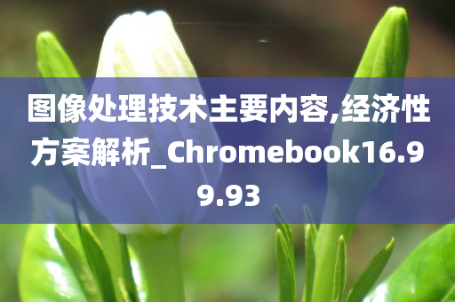 图像处理技术主要内容,经济性方案解析_Chromebook16.99.93