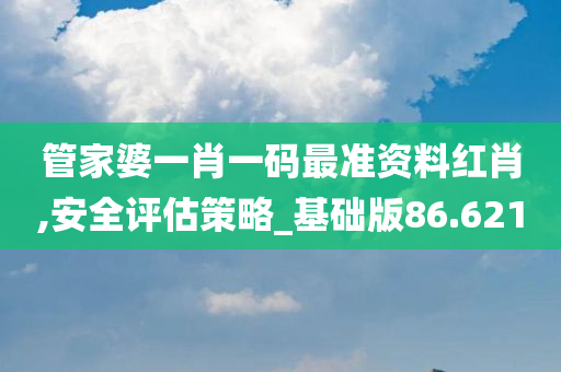 管家婆一肖一码最准资料红肖,安全评估策略_基础版86.621