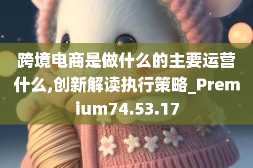 跨境电商是做什么的主要运营什么,创新解读执行策略_Premium74.53.17