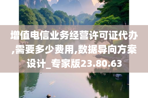 增值电信业务经营许可证代办,需要多少费用,数据导向方案设计_专家版23.80.63