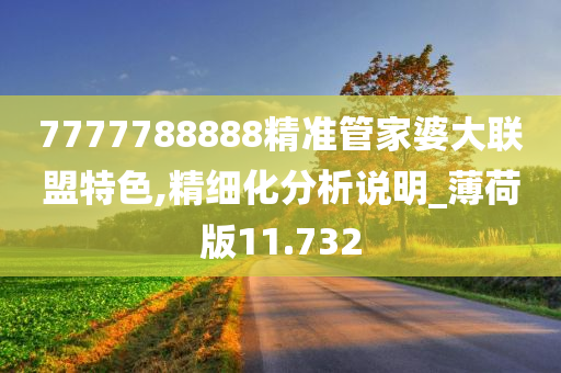 7777788888精准管家婆大联盟特色,精细化分析说明_薄荷版11.732