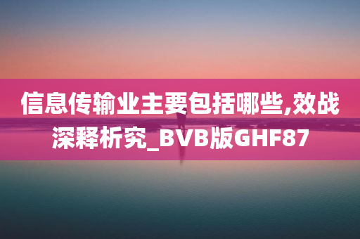 信息传输业主要包括哪些,效战深释析究_BVB版GHF87