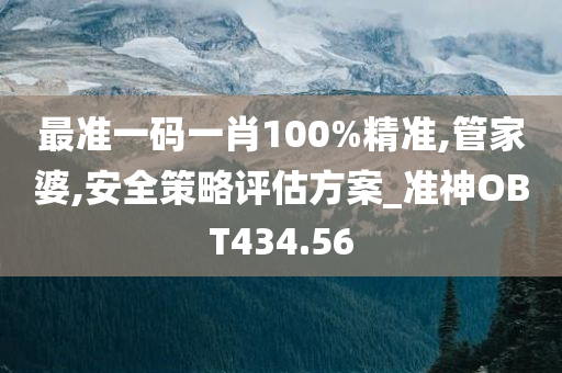 最准一码一肖100%精准,管家婆,安全策略评估方案_准神OBT434.56