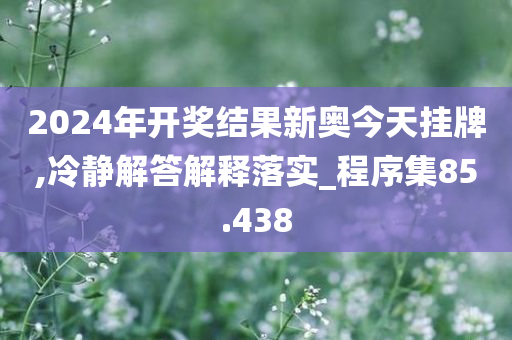 2024年开奖结果新奥今天挂牌,冷静解答解释落实_程序集85.438