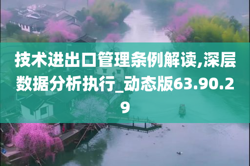 技术进出口管理条例解读,深层数据分析执行_动态版63.90.29