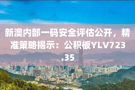 新澳内部一码安全评估公开，精准策略揭示：公积板YLV723.35