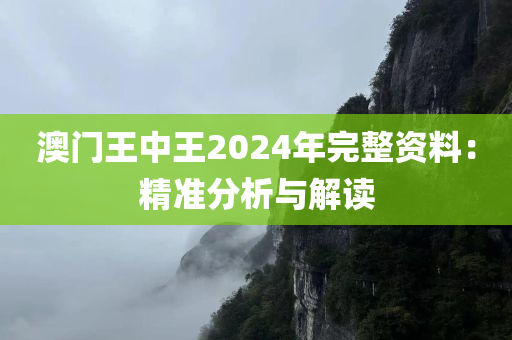 澳门王中王2024年完整资料：精准分析与解读