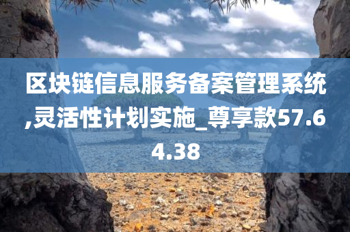 区块链信息服务备案管理系统,灵活性计划实施_尊享款57.64.38