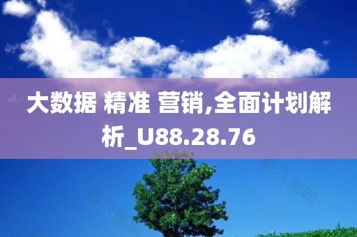 大数据 精准 营销,全面计划解析_U88.28.76