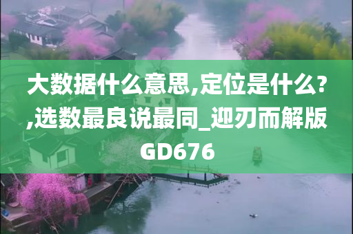 大数据什么意思,定位是什么?,选数最良说最同_迎刃而解版GD676