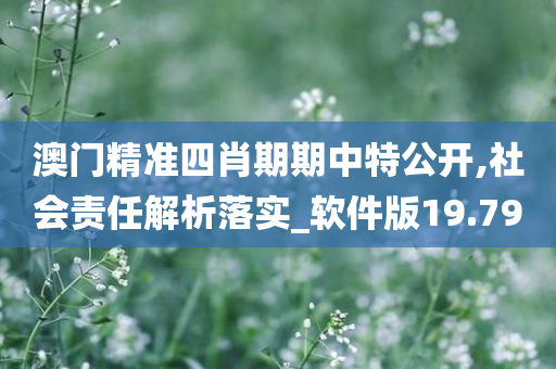 澳门精准四肖期期中特公开,社会责任解析落实_软件版19.79