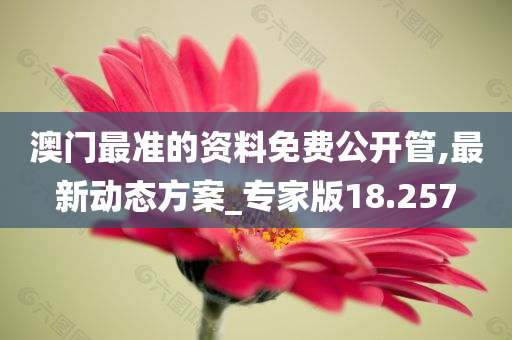 澳门最准的资料免费公开管,最新动态方案_专家版18.257