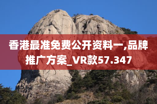 香港最准免费公开资料一,品牌推广方案_VR款57.347