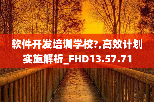 软件开发培训学校?,高效计划实施解析_FHD13.57.71