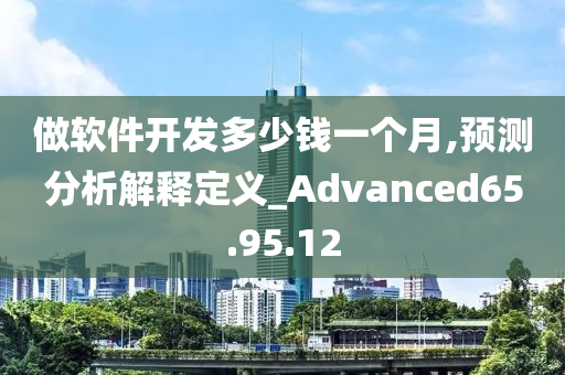 做软件开发多少钱一个月,预测分析解释定义_Advanced65.95.12