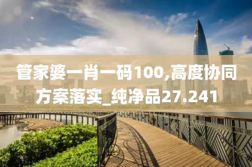 管家婆一肖一码100,高度协同方案落实_纯净品27.241