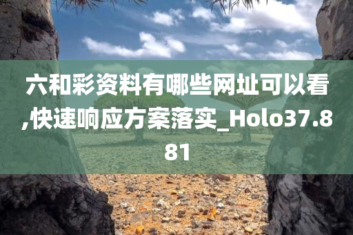 六和彩资料有哪些网址可以看,快速响应方案落实_Holo37.881