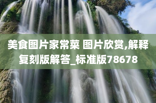 美食图片家常菜 图片欣赏,解释复刻版解答_标准版78678