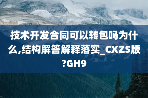 技术开发合同可以转包吗为什么,结构解答解释落实_CXZS版?GH9