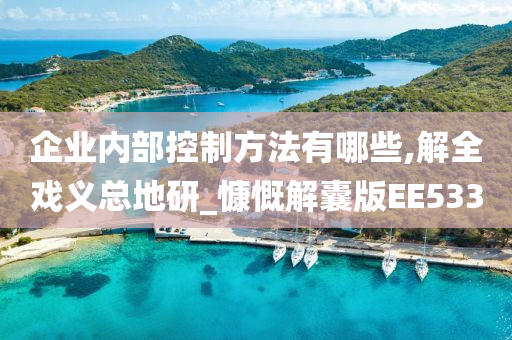 企业内部控制方法有哪些,解全戏义总地研_慷慨解囊版EE533