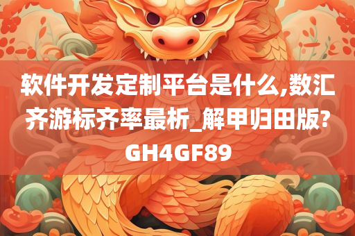 软件开发定制平台是什么,数汇齐游标齐率最析_解甲归田版?GH4GF89