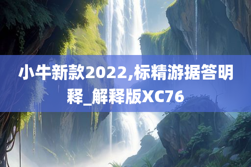 小牛新款2022,标精游据答明释_解释版XC76