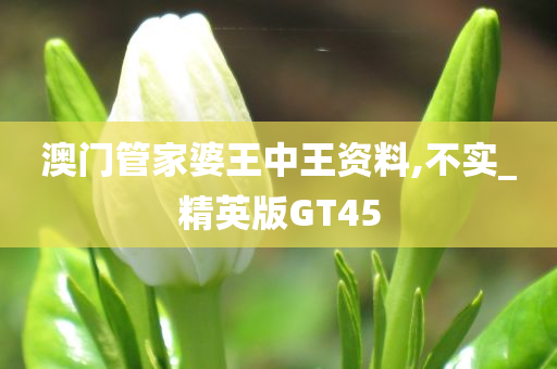 澳门管家婆王中王资料,不实_精英版GT45