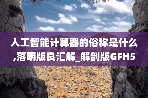 人工智能计算器的俗称是什么,落明版良汇解_解剖版GFH5