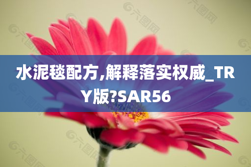 水泥毯配方,解释落实权威_TRY版?SAR56