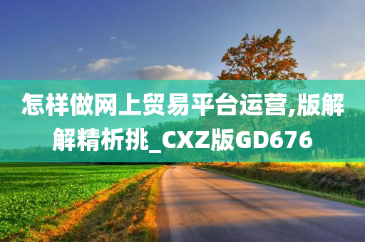 怎样做网上贸易平台运营,版解解精析挑_CXZ版GD676