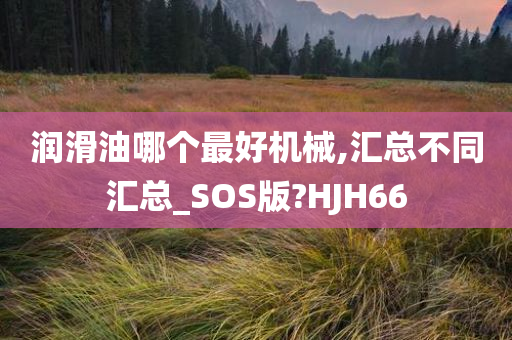 润滑油哪个最好机械,汇总不同汇总_SOS版?HJH66