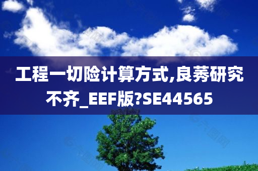 工程一切险计算方式,良莠研究不齐_EEF版?SE44565