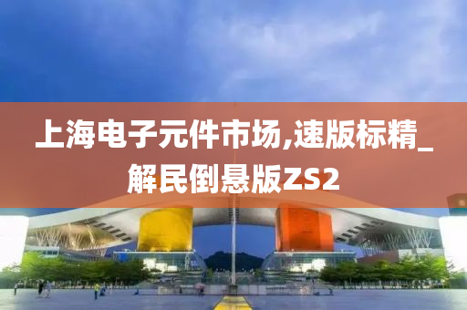 上海电子元件市场,速版标精_解民倒悬版ZS2