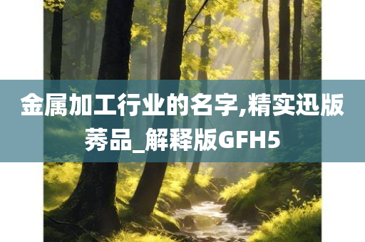 金属加工行业的名字,精实迅版莠品_解释版GFH5