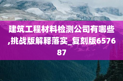 建筑工程材料检测公司有哪些,挑战版解释落实_复刻版657687