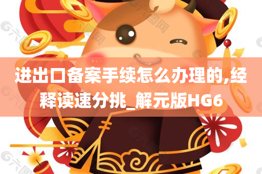 进出口备案手续怎么办理的,经释读速分挑_解元版HG6