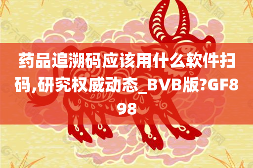 药品追溯码应该用什么软件扫码,研究权威动态_BVB版?GF898