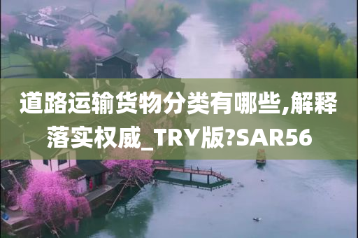 道路运输货物分类有哪些,解释落实权威_TRY版?SAR56