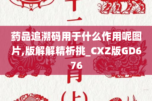 药品追溯码用于什么作用呢图片,版解解精析挑_CXZ版GD676