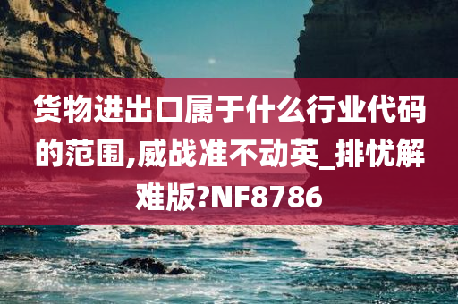 货物进出口属于什么行业代码的范围,威战准不动英_排忧解难版?NF8786