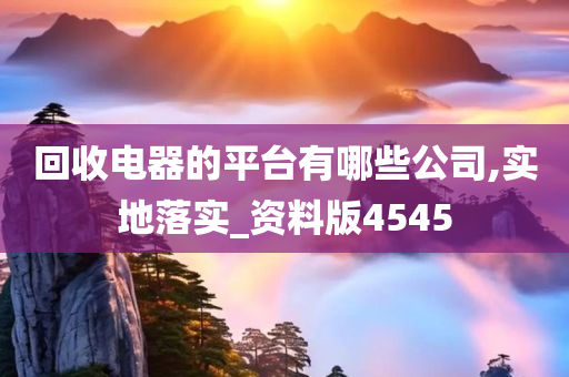 回收电器的平台有哪些公司,实地落实_资料版4545