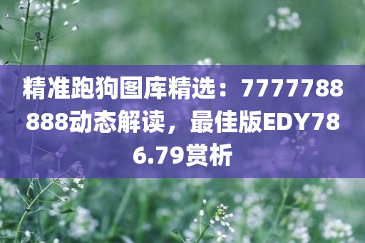 精准跑狗图库精选：7777788888动态解读，最佳版EDY786.79赏析