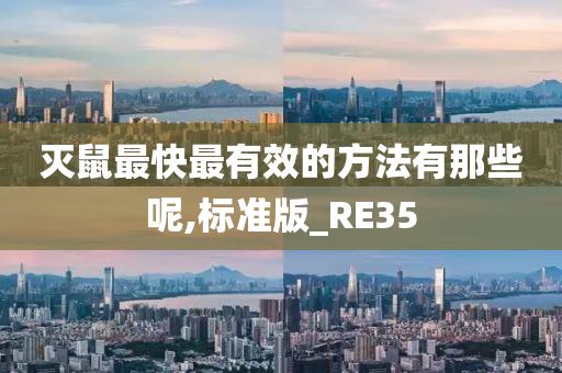 灭鼠最快最有效的方法有那些呢,标准版_RE35