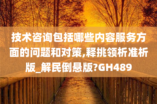 技术咨询包括哪些内容服务方面的问题和对策,释挑领析准析版_解民倒悬版?GH489