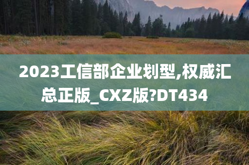 2023工信部企业划型,权威汇总正版_CXZ版?DT434