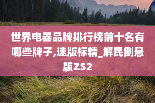 世界电器品牌排行榜前十名有哪些牌子,速版标精_解民倒悬版ZS2