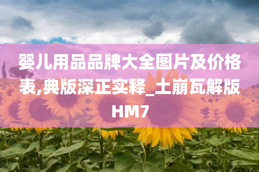 婴儿用品品牌大全图片及价格表,典版深正实释_土崩瓦解版HM7