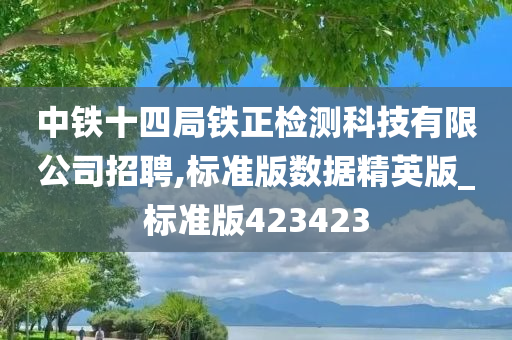 中铁十四局铁正检测科技有限公司招聘,标准版数据精英版_标准版423423